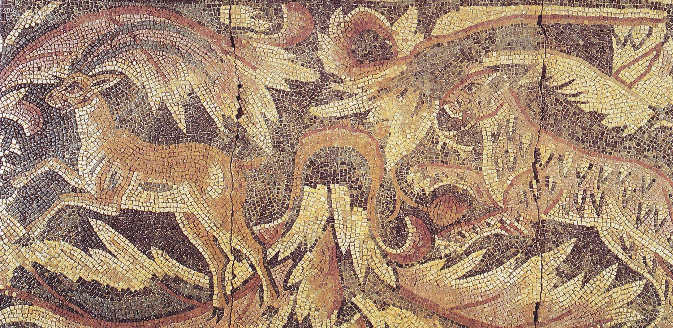 This stunning mosaic in the Hippolytus Hall was discovered in 1905 by the property owner, from The Mosaics of Jordan (1992). 