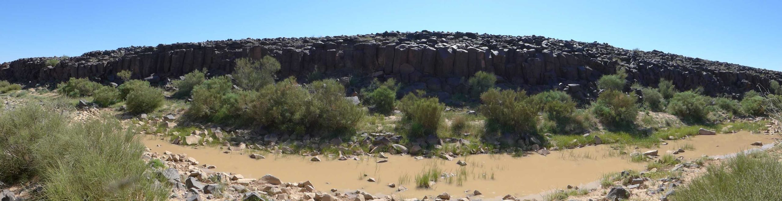 Panoramic view of the basalt cliffs perched above Wadi Hassan, pooled with water from the winter rains. Nearly every panel along the cliff face is carved with some form of rock art. Photo by C.D. Allen.
