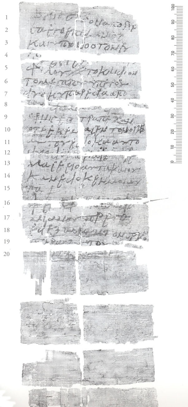 Among the 140 manuscripts identified by papyrologists within the archive is P. Petra 6 (pictured), which lists goods that a landlord priest claims were stolen by one of his colleagues. Photo from ACOR archive.