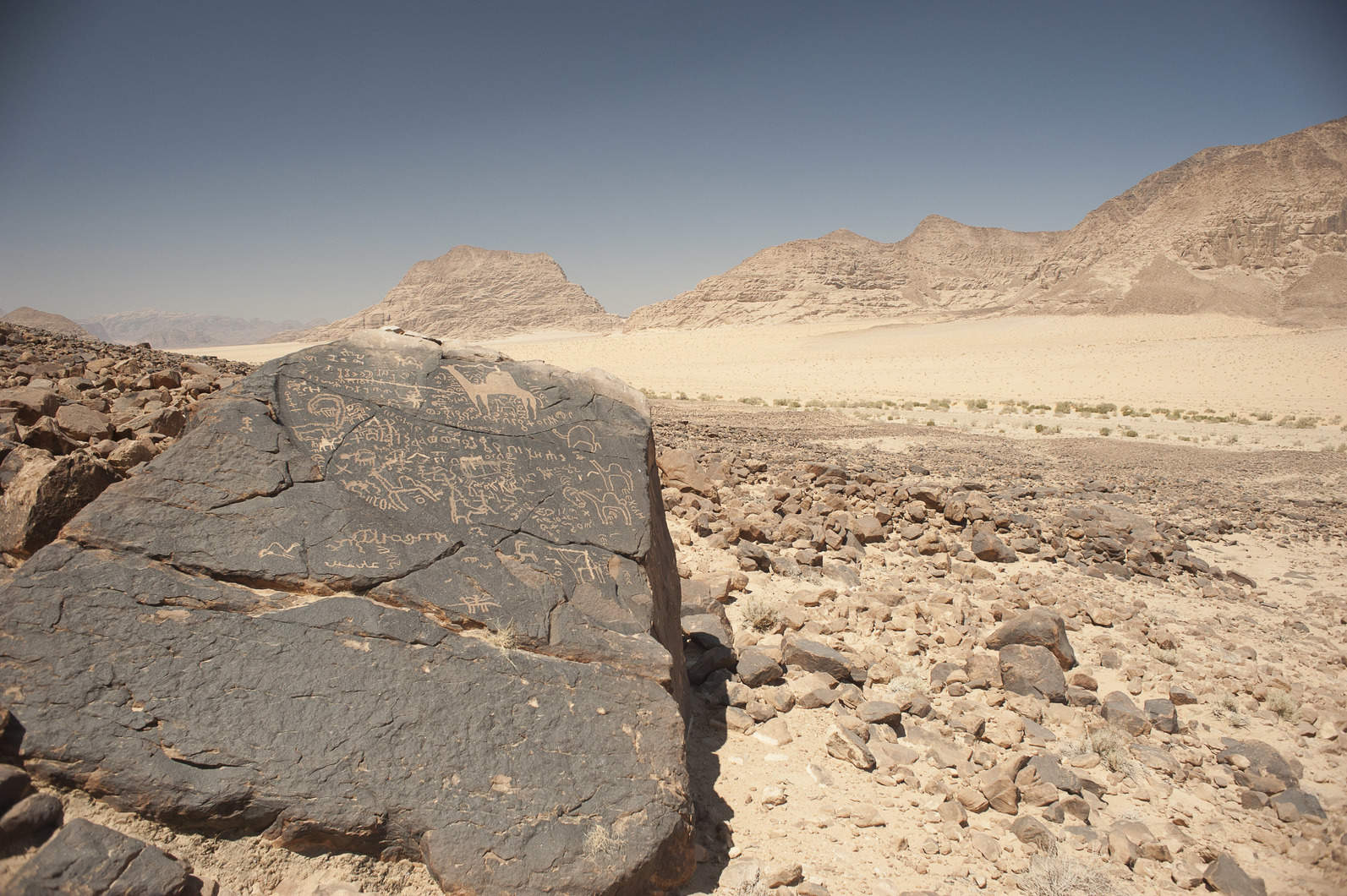 This boulder near the southern end of Wadi Hafir features more than a dozen inscriptions, including one that large drawing of a camel that dominates the stone’s upper face (photo by Michael Fergusson)