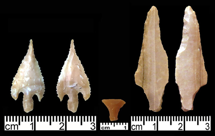 From left to right, Haparsa point; transverse arrowhead; and Badia point. (Photo by Gary Rollefson.)