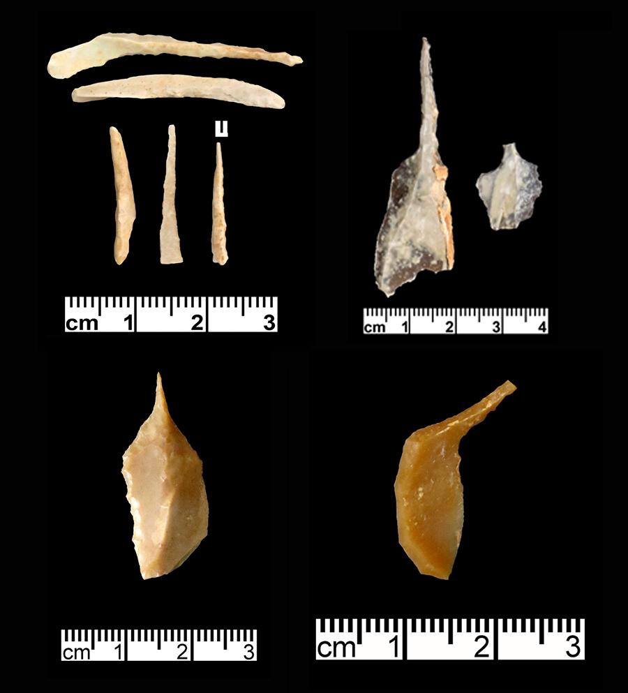 Decoding Late Neolithic Tools and Technology in the Black Desert of ...